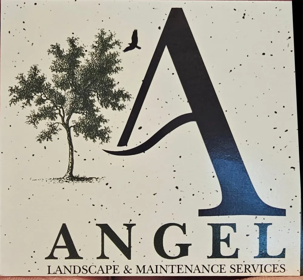Trusted yard cleanup service in Washington, UT by Angel's Landscaping and Curbing
