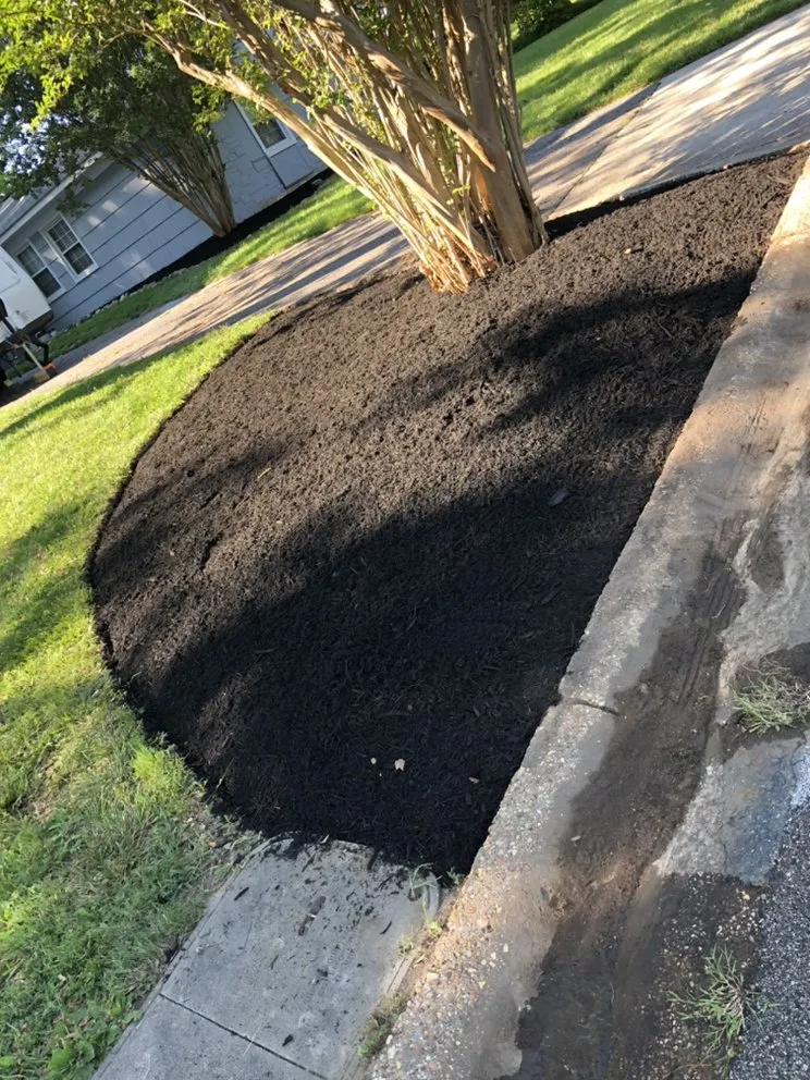 Reliable lawn care service for residential properties across Annapolis, MD - Angel’s Landscaping and Hardscape