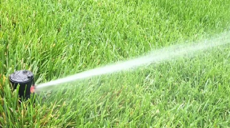 Top-rated lawn care service in Castle Rock, CO - Angel's Landscaping