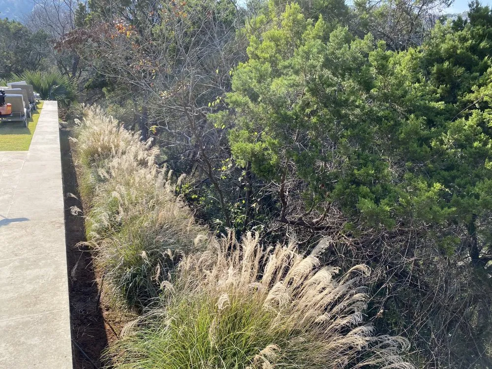 Local lawn mowing service experts serving Cedar Creek, TX - Angel's Landscaping