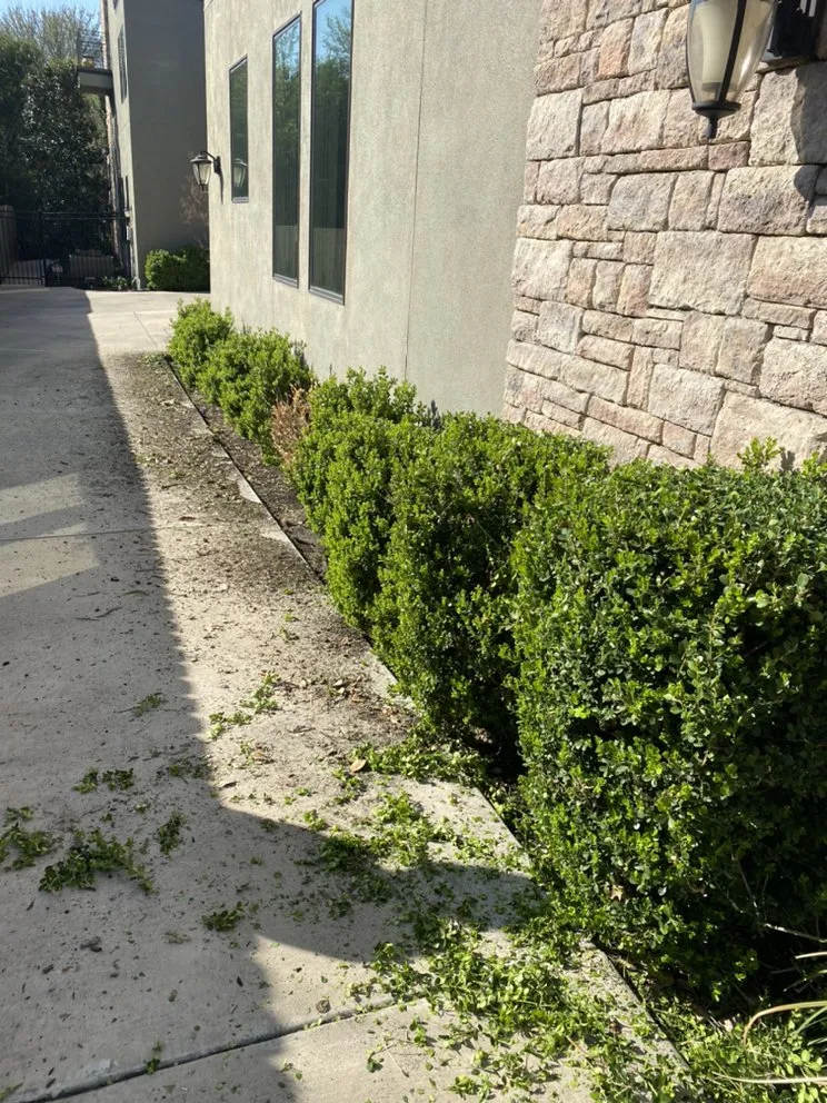 Local lawn mowing service for homes in Cedar Creek, TX by Angel's Landscaping