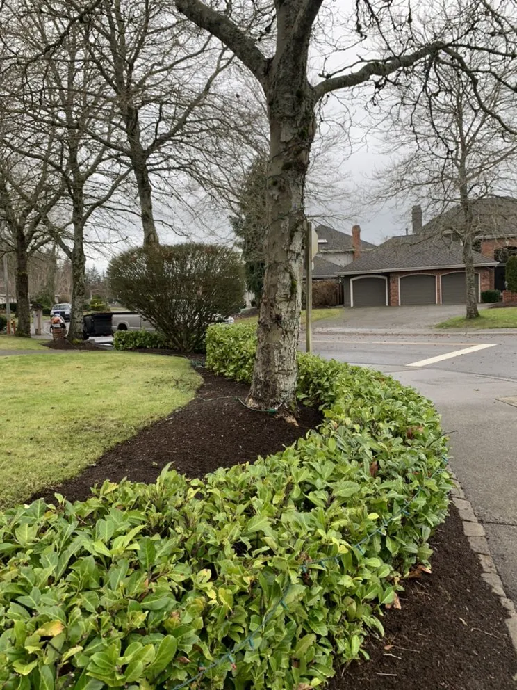 Affordable outdoor landscaping in Everett, WA by Angel’s Landscaping