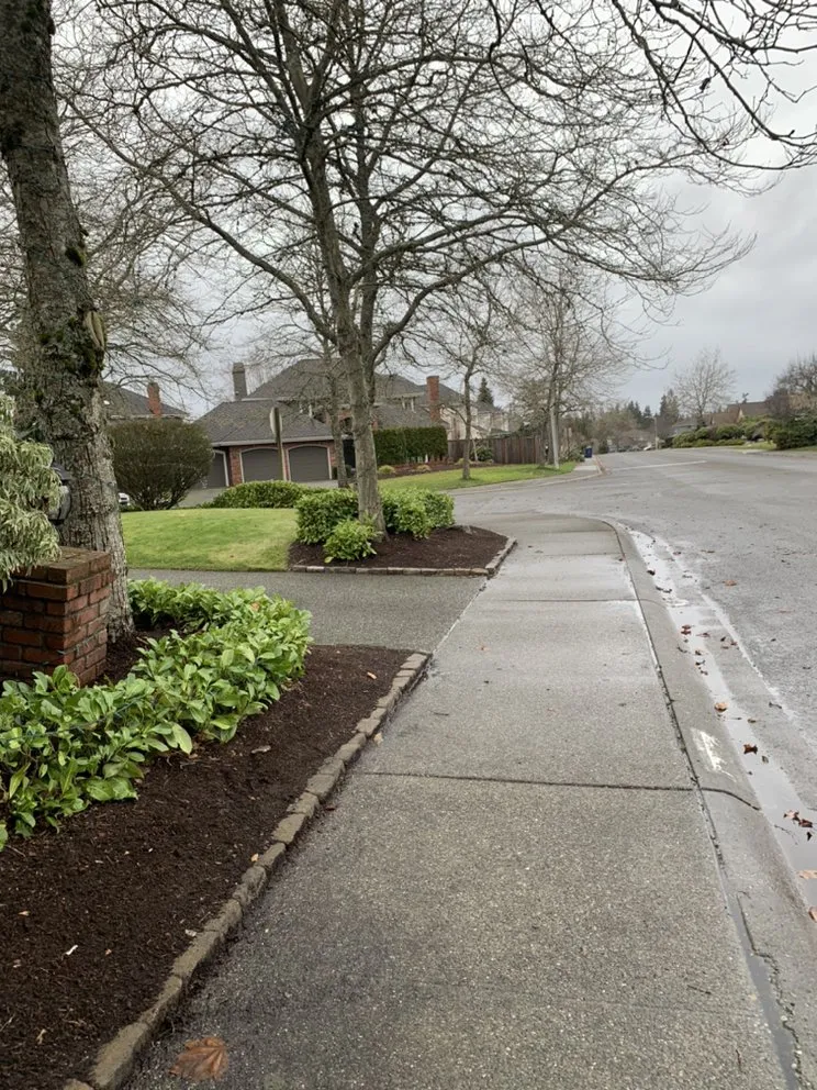 Local landscaping services in Everett, WA by Angel’s Landscaping
