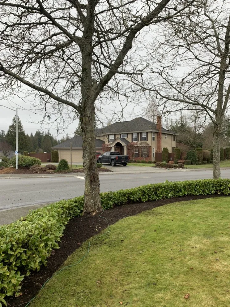 Affordable landscape installation in Everett, WA - Angel’s Landscaping