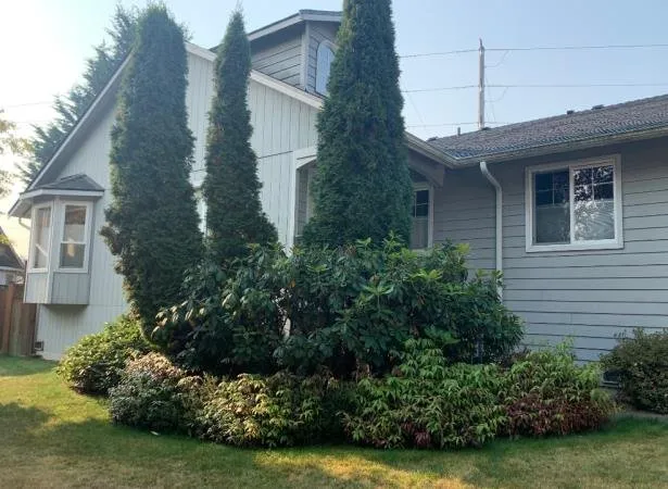 Top-rated yard maintenance for beautiful yards in Everett, WA by Angel’s Landscaping