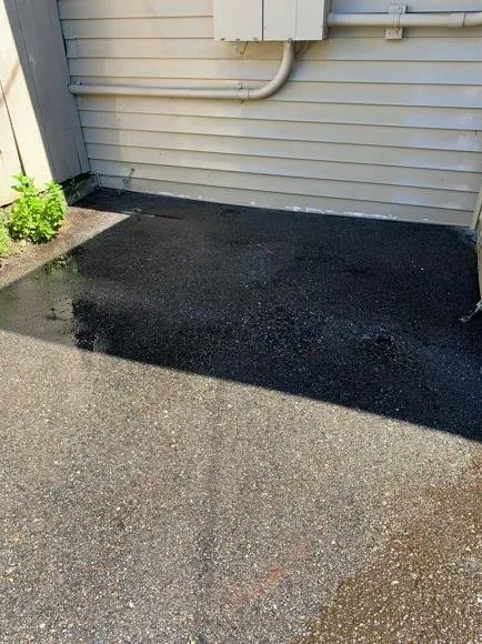 Trusted lawn care service experts serving Everett, WA - Angel’s Landscaping