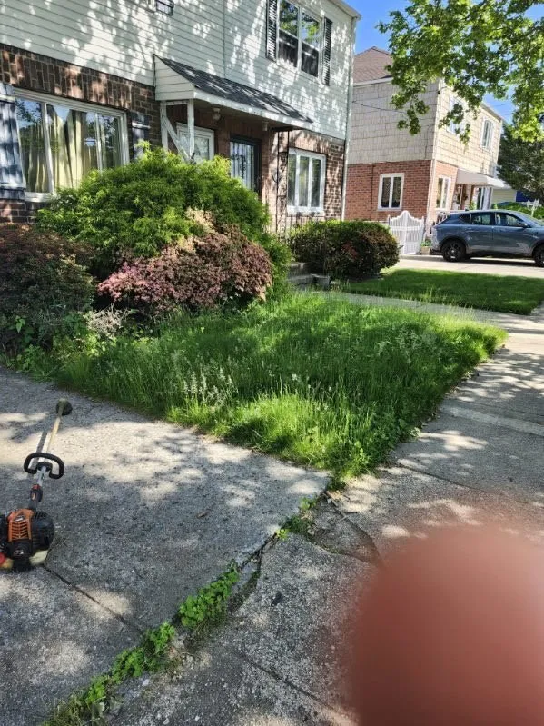Local landscaping services for outdoor upgrades in Flushing, NY by Angel's Landscaping