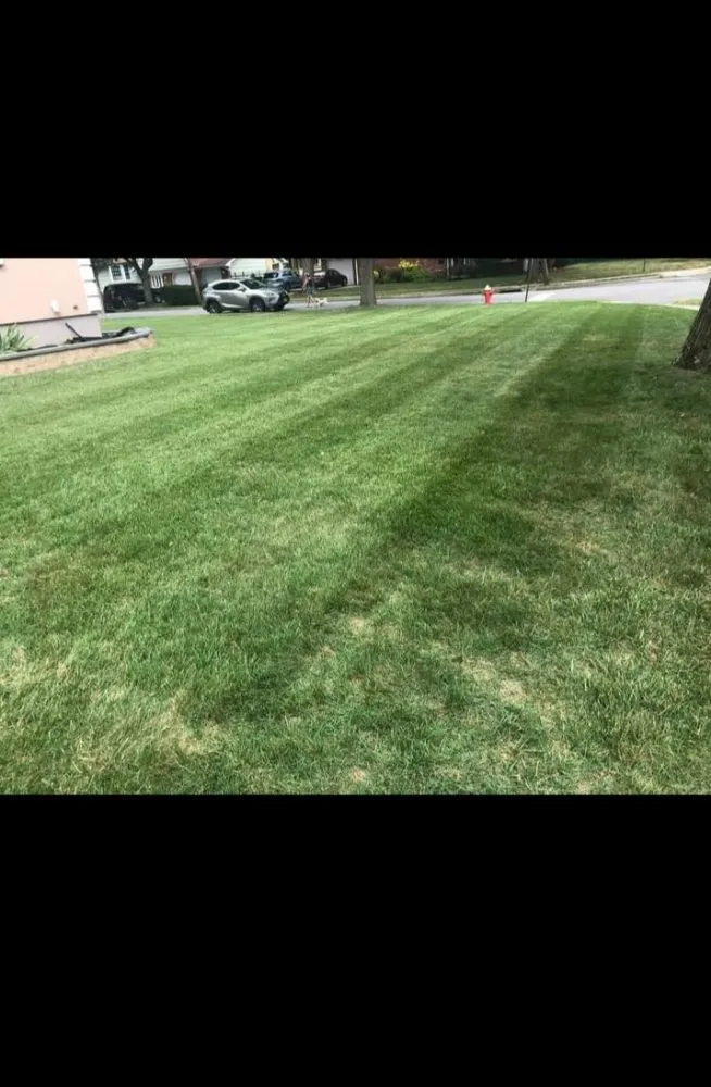 Local yard cleanup service experts serving Flushing, NY - Angel's Landscaping