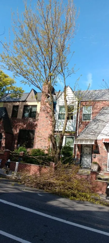 Affordable outdoor landscaping in Flushing, NY - Angel's Landscaping