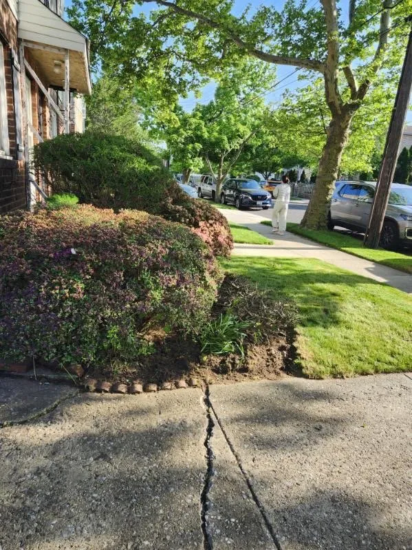 Expert yard cleanup service experts serving Flushing, NY - Angel's Landscaping