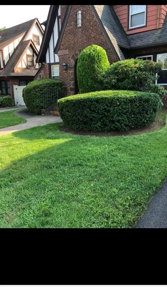 Top-rated lawn care service experts serving Flushing, NY - Angel's Landscaping