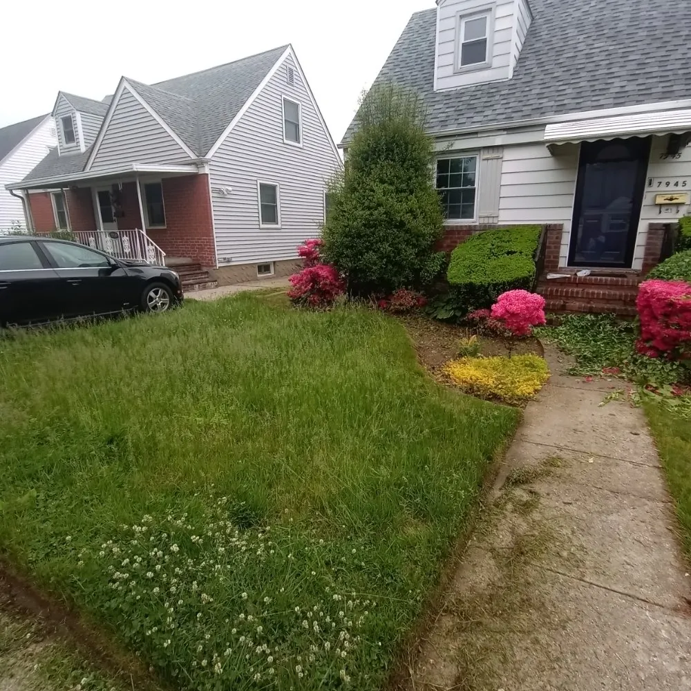 Professional lawn care service in Flushing, NY by Angel's Landscaping
