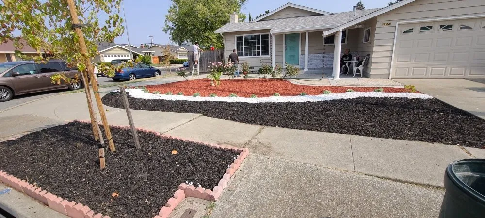 Top-rated landscape design experts serving Hayward, CA - Angel's Landscaping