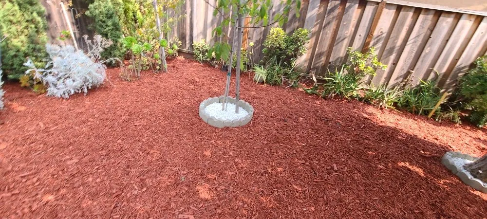 Affordable lawn care service for year-round maintenance in Hayward, CA by Angel's Landscaping