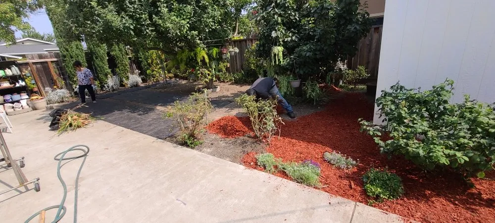 Professional lawn mowing service experts serving Hayward, CA - Angel's Landscaping