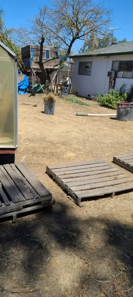 Custom yard cleanup service in Hayward, CA by Angel's Landscaping