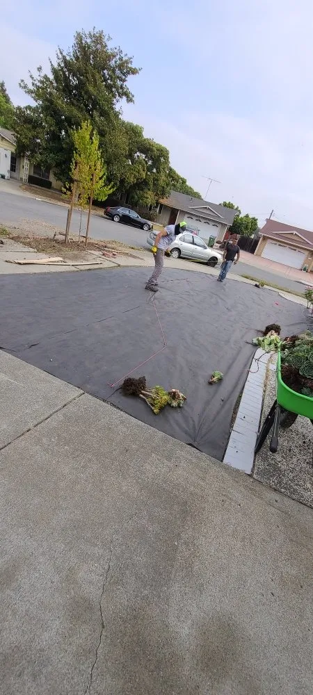 Expert landscape design near you across Hayward, CA - Angel's Landscaping