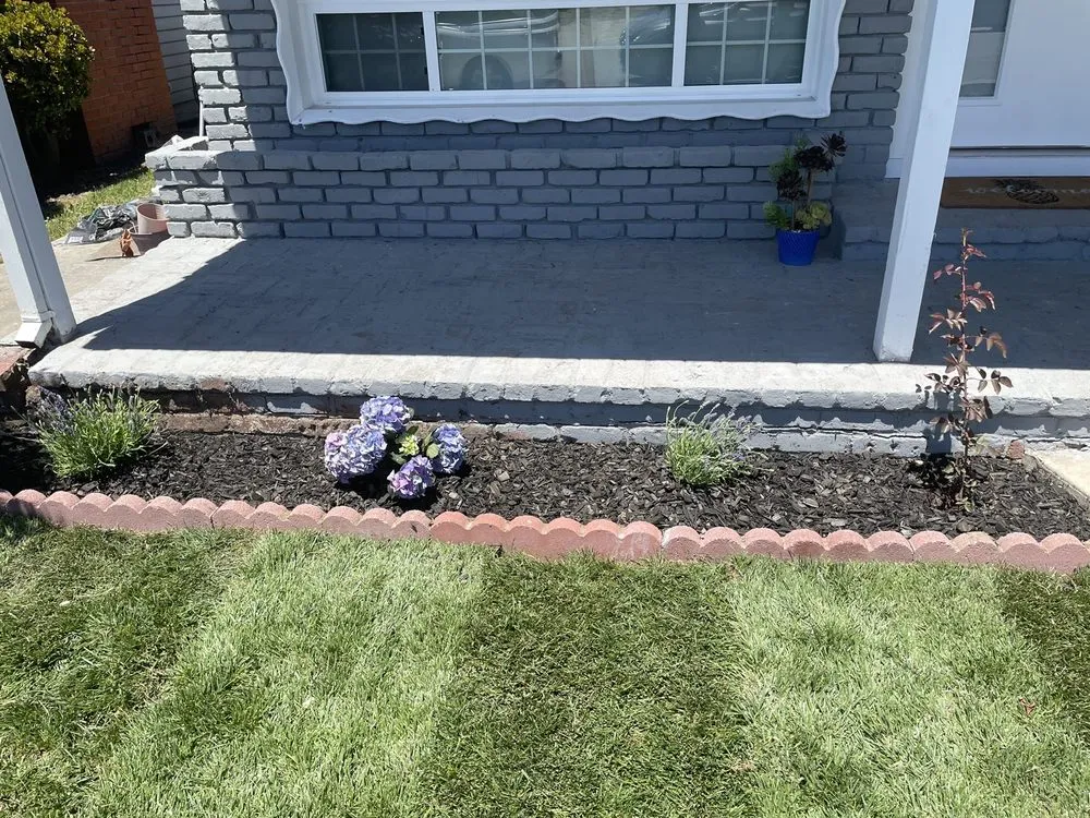 Local landscape installation for beautiful yards in Hayward, CA by Angel's Landscaping