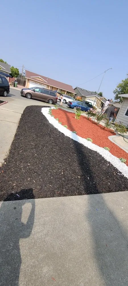 Custom outdoor landscaping in Hayward, CA by Angel's Landscaping
