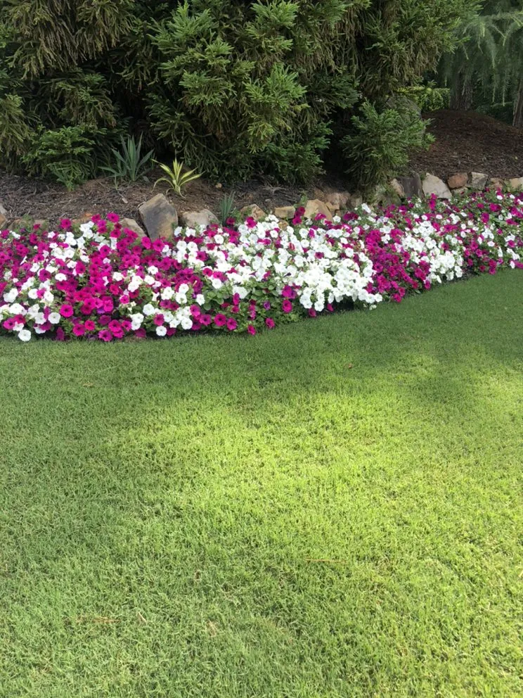 Reliable residential landscaping experts serving Marietta, GA - Angels Landscaping