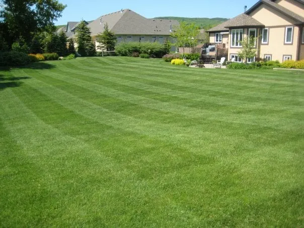 Local landscape installation experts serving Ossining, NY - Angel's Landscaping