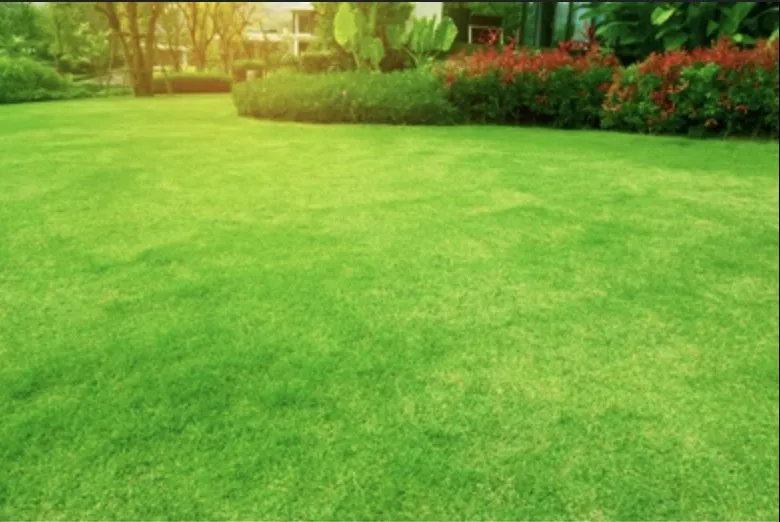 Expert landscaping services for outdoor upgrades across Rincon, GA - Angel’s Landscaping