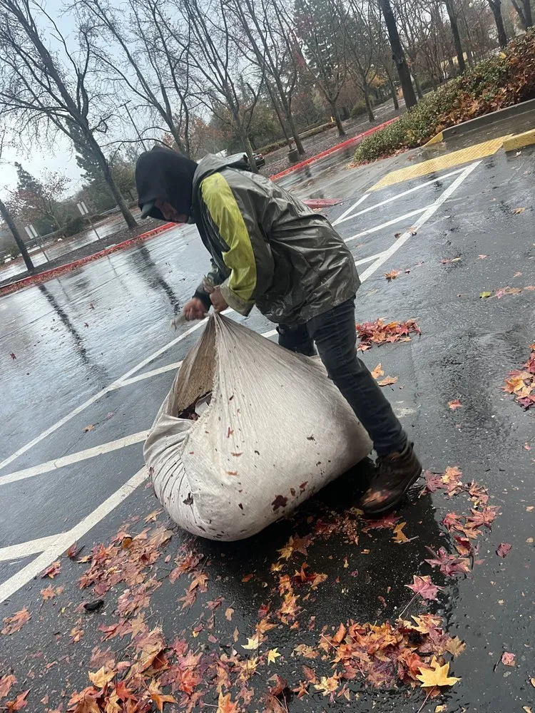 Affordable residential landscaping in Rancho Cordova, CA by Angel’s Landscaping Service