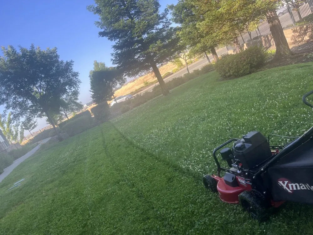 Custom landscape installation for homes in Rancho Cordova, CA by Angel’s Landscaping Service