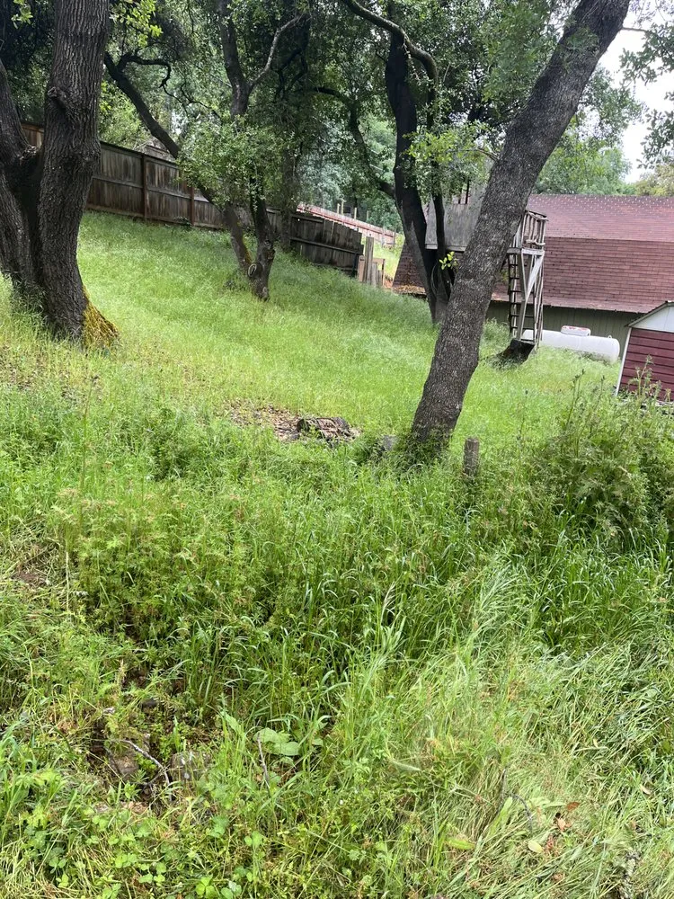 Local lawn mowing service experts serving Rancho Cordova, CA - Angel’s Landscaping Service