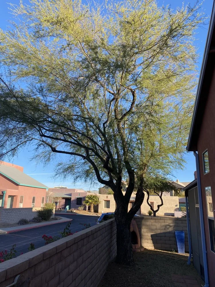 Affordable lawn mowing service with custom design across Tucson, AZ - Angel's Landscaping