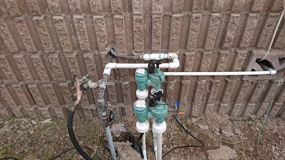 Custom lawn care service for beautiful yards across Tucson, AZ - Angel's Landscaping