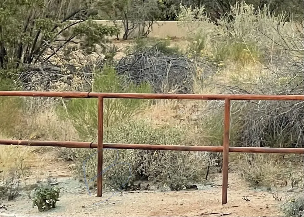 Trusted lawn care service for residential properties in Tucson, AZ by Angel's Landscaping