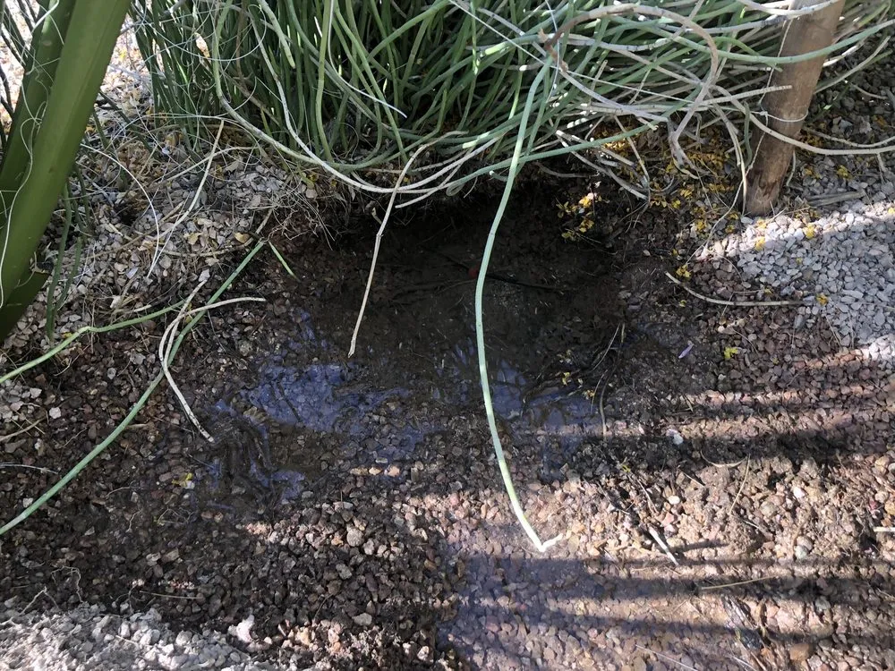 Custom landscape installation experts serving Tucson, AZ - Angel's Landscaping