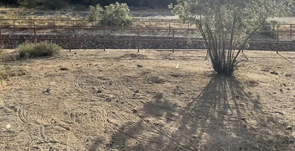 Expert lawn mowing service in Tucson, AZ - Angel's Landscaping