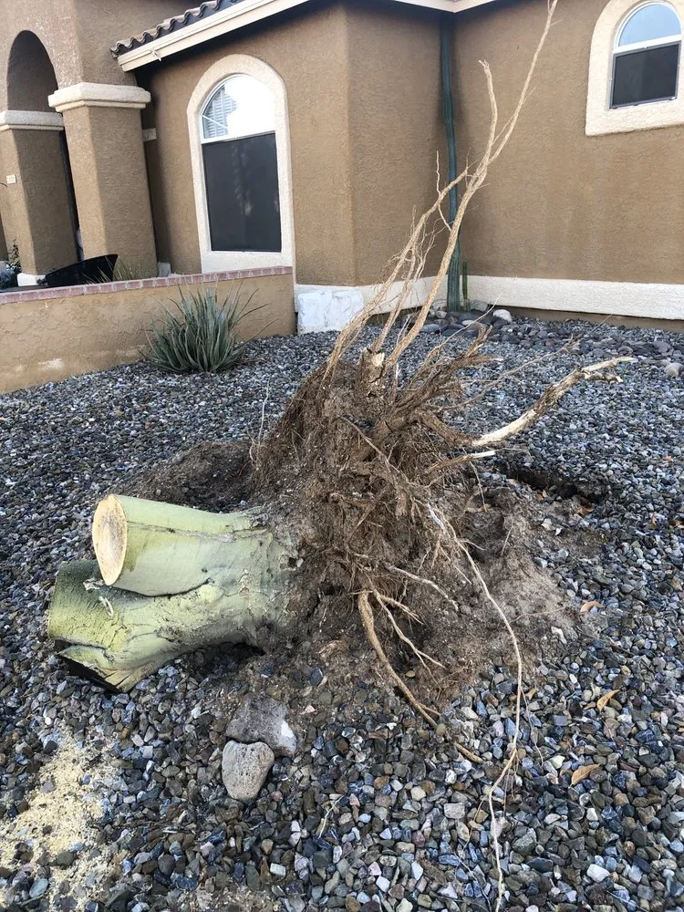 Custom landscaping services in Tucson, AZ - Angel's Landscaping