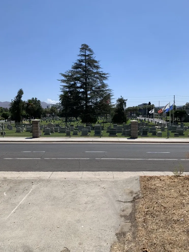 Reliable landscape installation for outdoor upgrades across Victorville, CA - Angels Landscaping