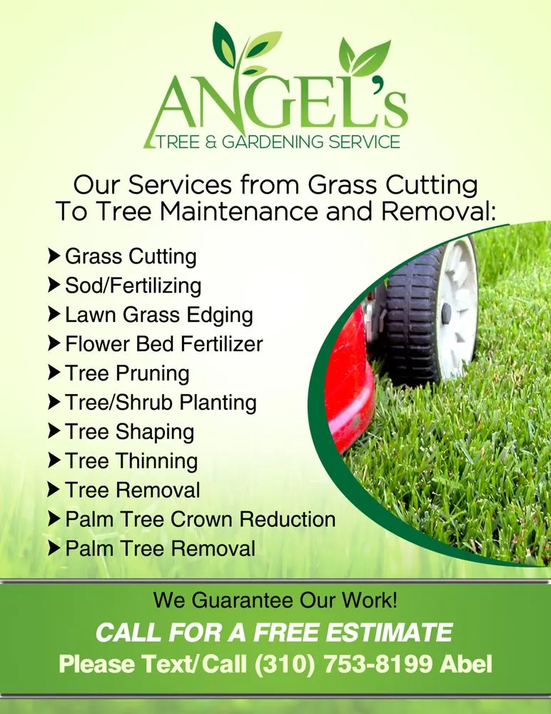 Professional landscaping services in Los Angeles, CA - Angel's Lawn & Tree Service