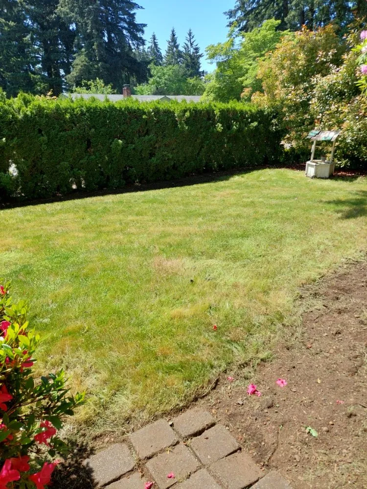 Reliable outdoor landscaping in Vancouver, WA - Angel's Lawn Care