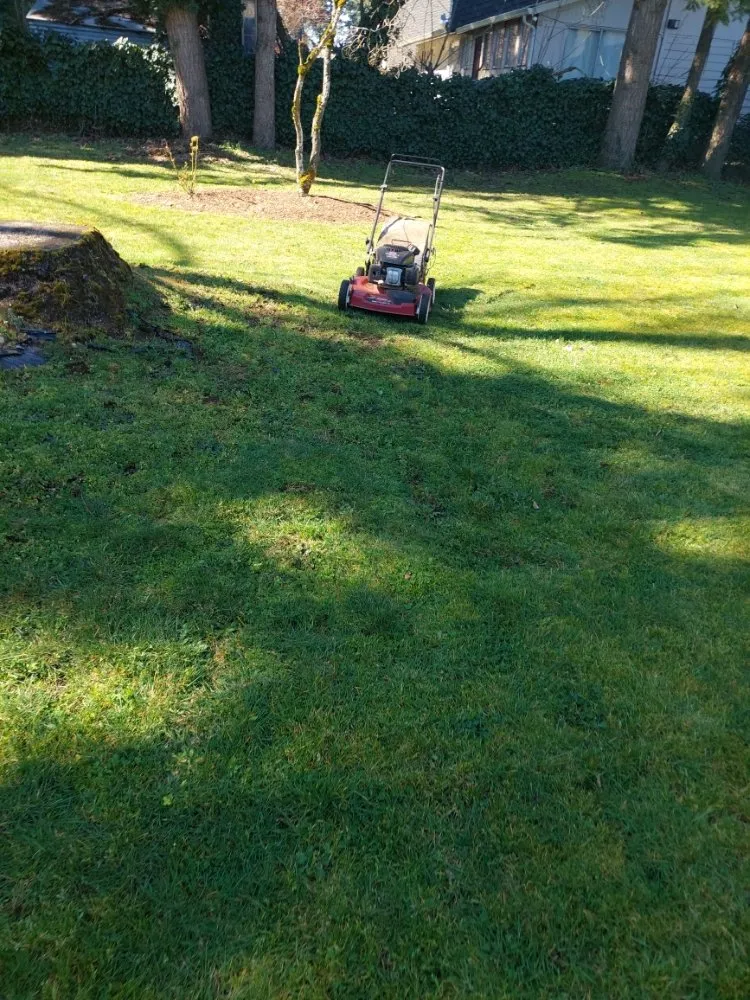 Reliable residential landscaping in Vancouver, WA - Angel's Lawn Care