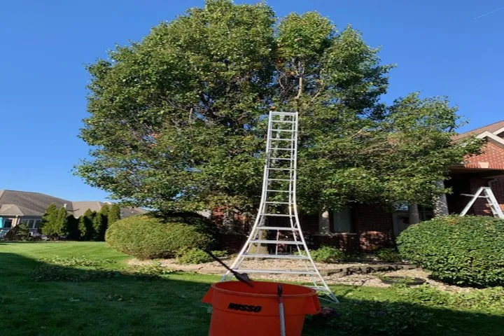 Trusted lawn care service for outdoor upgrades across Lansing, IL - Angel's Lawn Maintenance