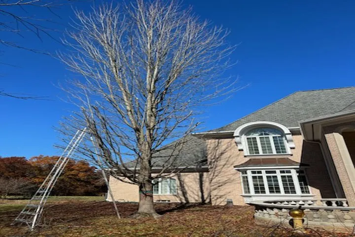 Local landscape design in Lansing, IL - Angel's Lawn Maintenance