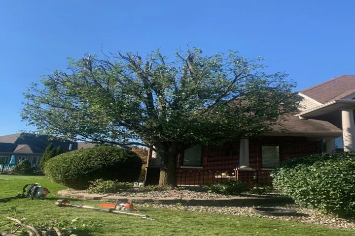 Top-rated landscaping services for homes across Lansing, IL - Angel's Lawn Maintenance