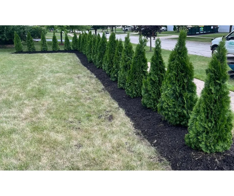 Custom lawn care service with custom design across Lansing, IL - Angel's Lawn Maintenance