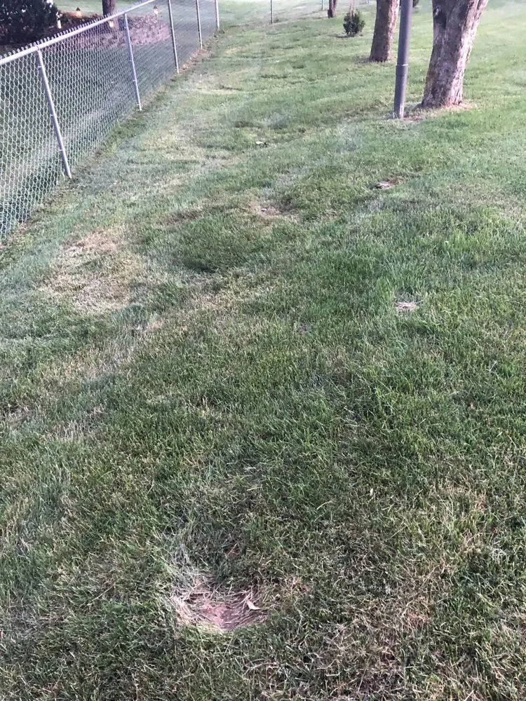 Professional landscaping services experts serving Lansing, IL - Angel's Lawn Maintenance