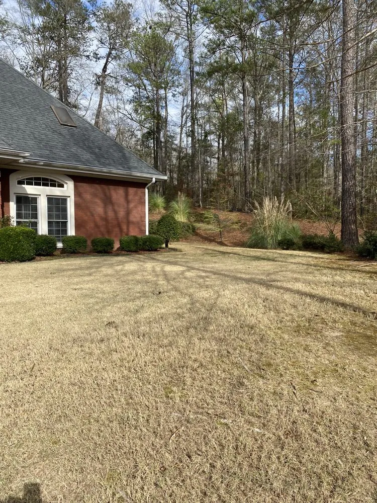 Expert outdoor landscaping in Jacksonville, FL - Angel’s Lawn Service