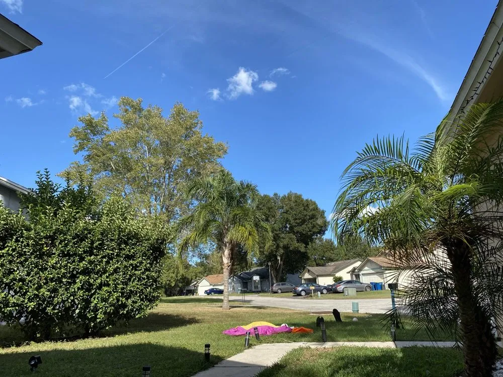 Reliable landscaping services near you in Jacksonville, FL by Angel’s Lawn Service