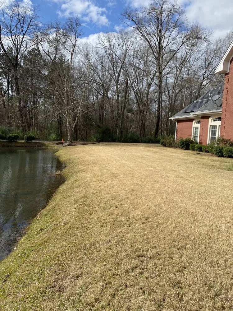 Expert lawn care service in Jacksonville, FL by Angel’s Lawn Service