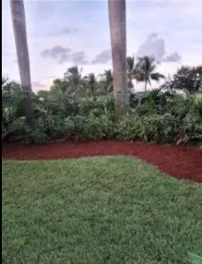 Professional landscaping services in Lake Worth, FL by Angel’s Lawn Service