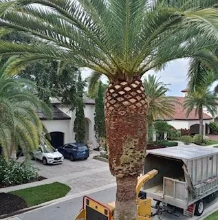 Expert yard maintenance in Lake Worth, FL by Angel’s Lawn Service