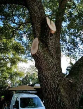 Top-rated lawn mowing service for residential properties in Lake Worth, FL by Angel’s Lawn Service